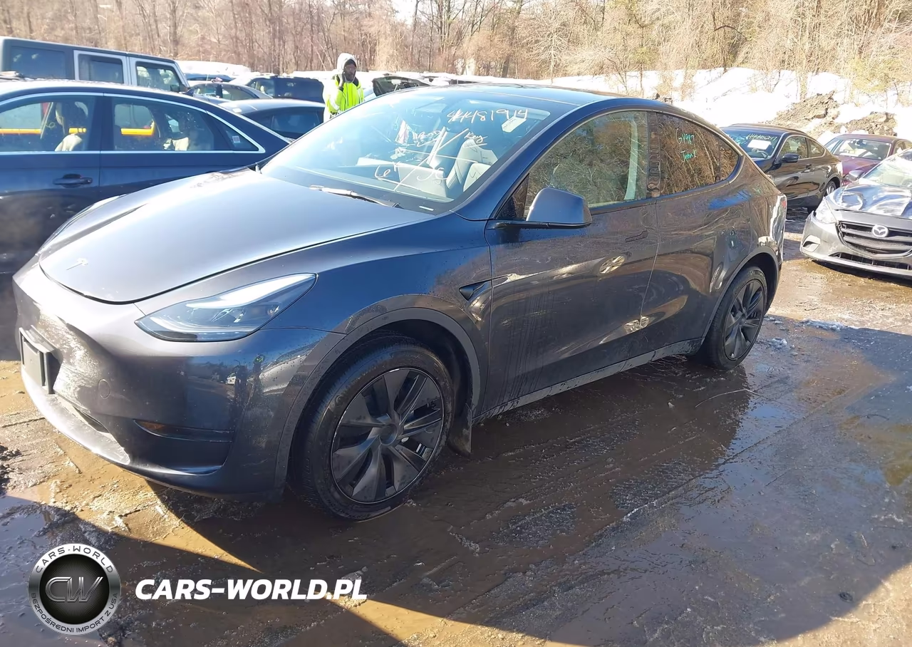 2025 Tesla Model Y Long Range Single Motor Rear-Wheel Drive VIN:7SAYGDED6SF318987 - 2