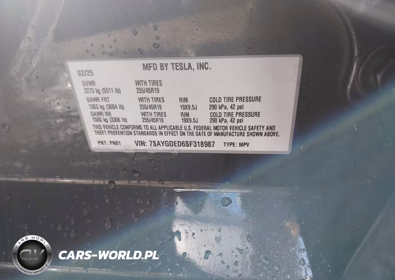 2025 Tesla Model Y Long Range Single Motor Rear-Wheel Drive VIN:7SAYGDED6SF318987 - 9
