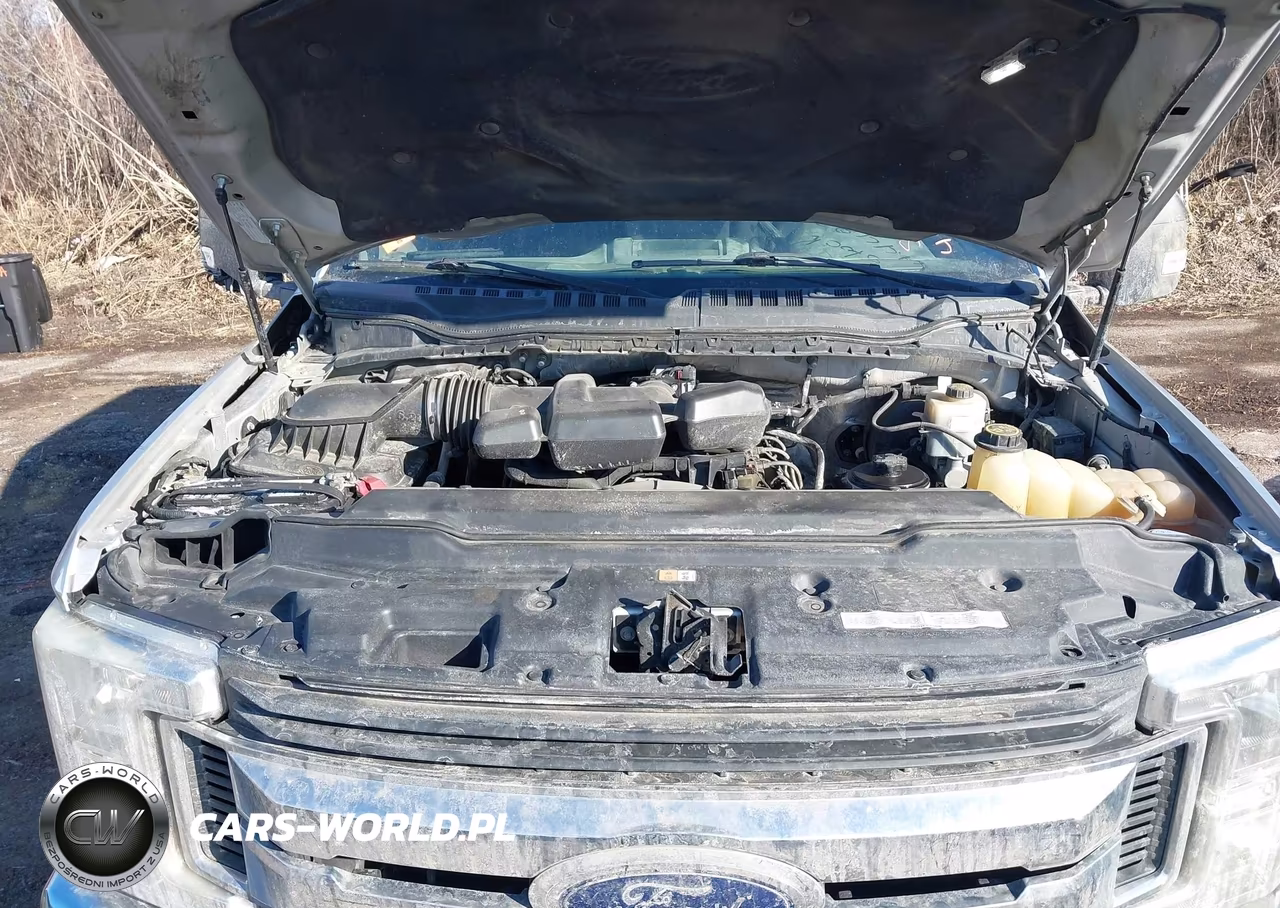 2017 Ford F-250 Xlt VIN:1FT7W2B65HEE26176 - 10