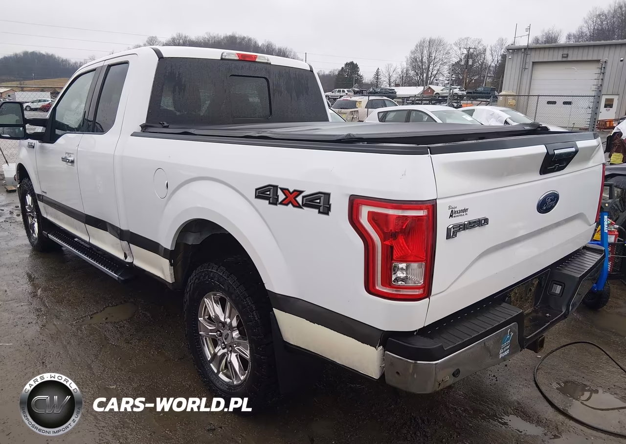 2015 Ford F-150 Xlt VIN:1FTFX1EG6FKF13901 - 3