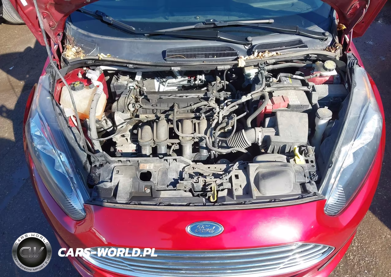 2016 Ford Fiesta Se VIN:3FADP4EJ7GM104777 - 10
