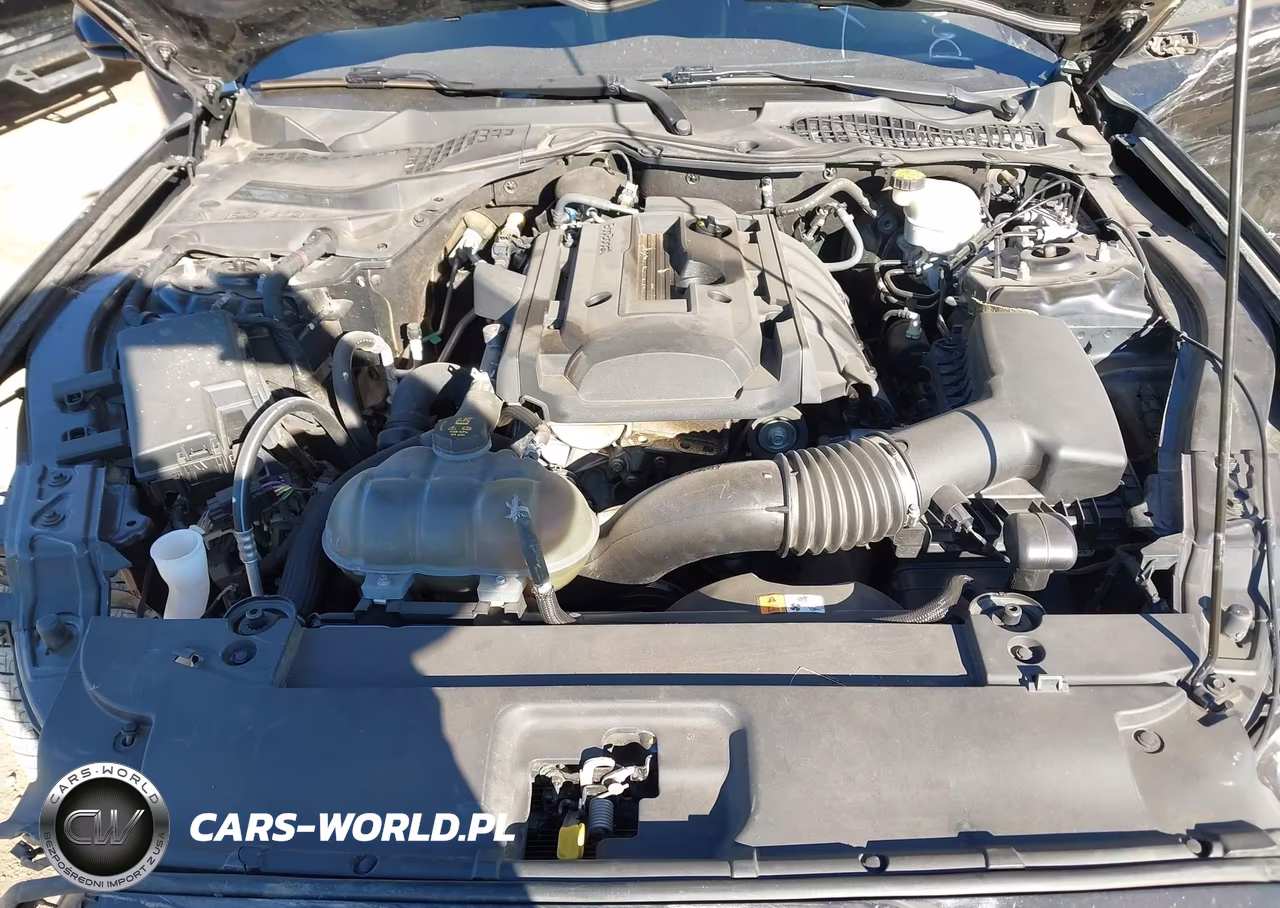 2017 Ford Mustang Ecoboost VIN:1FA6P8THXH5323241 - 10