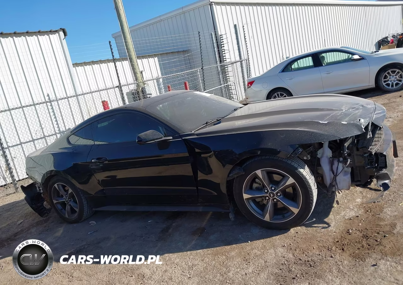 2017 Ford Mustang Ecoboost VIN:1FA6P8THXH5323241 - 13