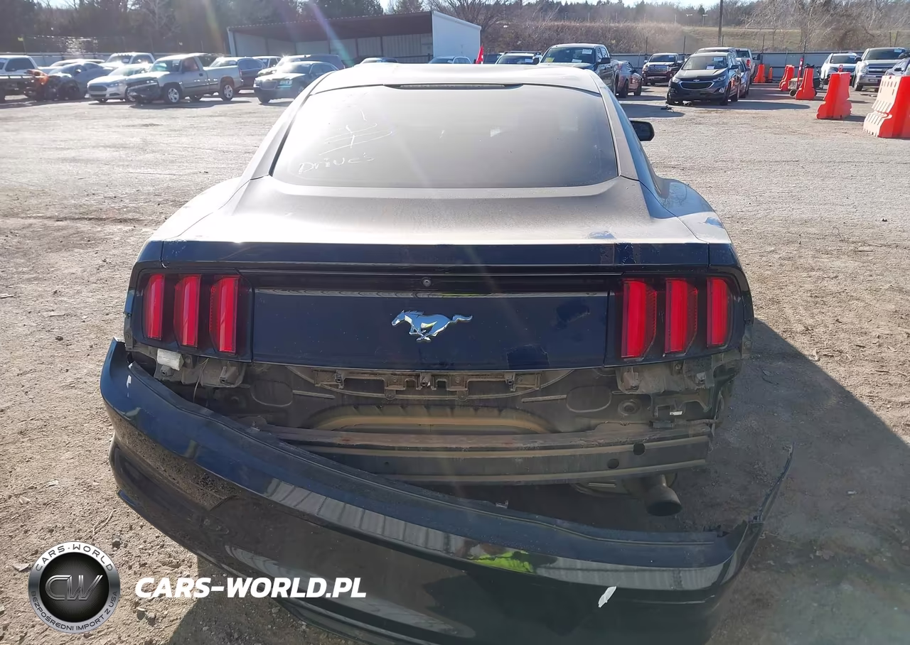 2017 Ford Mustang Ecoboost VIN:1FA6P8THXH5323241 - 16