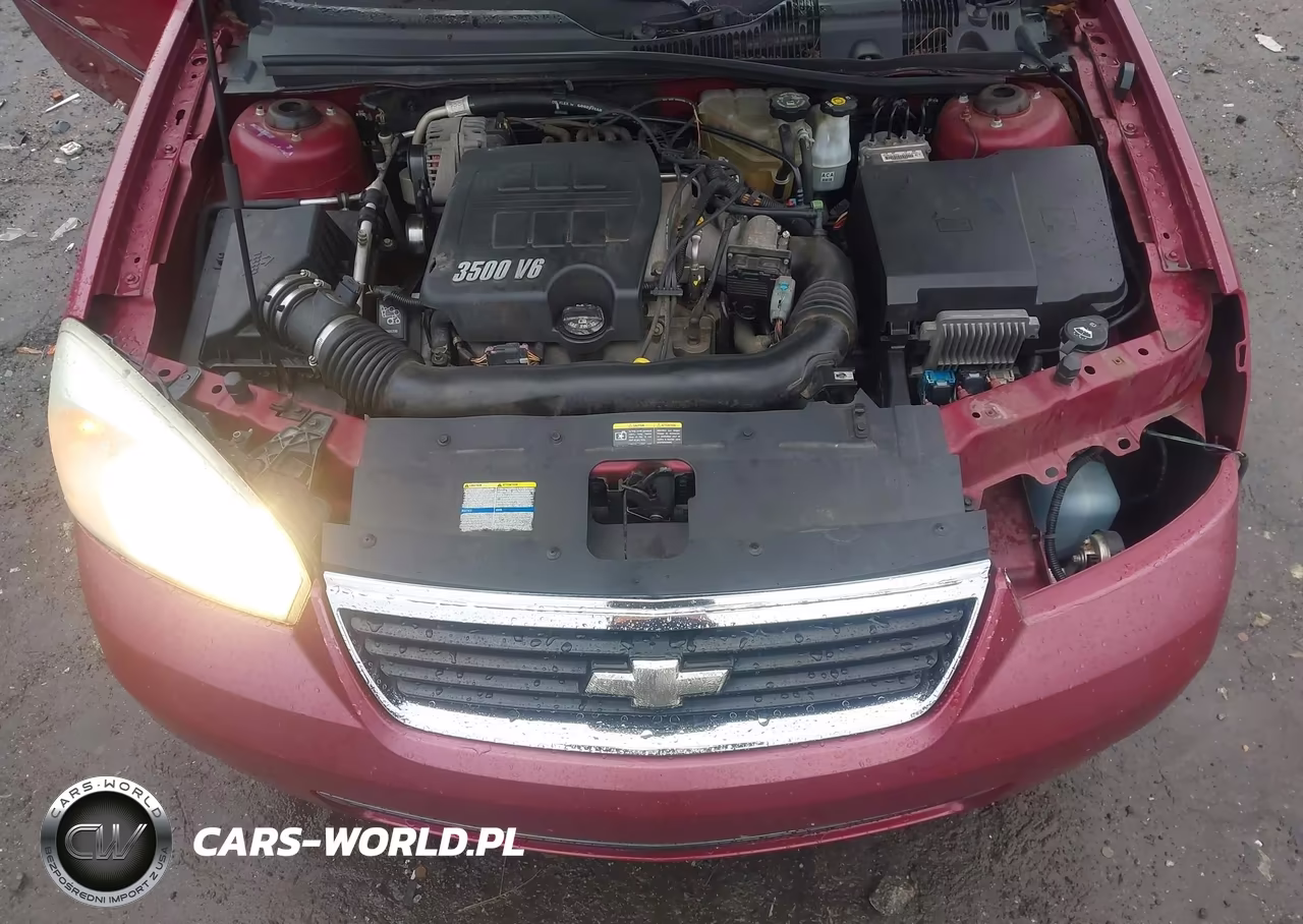 2006 Chevrolet Malibu Lt VIN:1G1ZT51826F246353 - 10