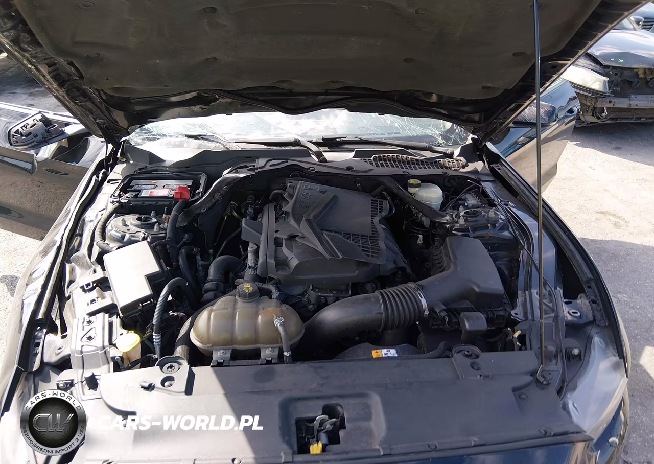 2015 Ford Mustang Ecoboost VIN:1FA6P8TH5F5341210 - 10