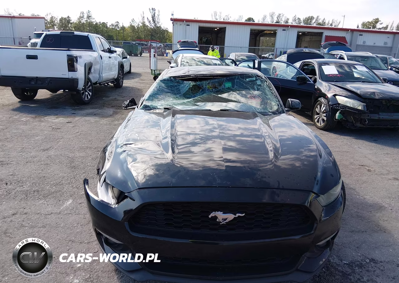 2015 Ford Mustang Ecoboost VIN:1FA6P8TH5F5341210 - 13