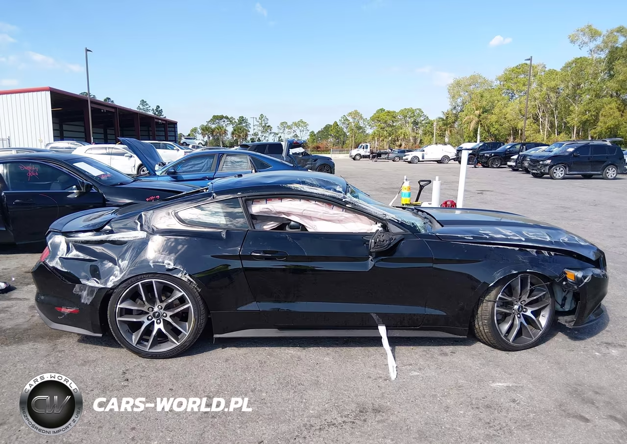 2015 Ford Mustang Ecoboost VIN:1FA6P8TH5F5341210 - 14