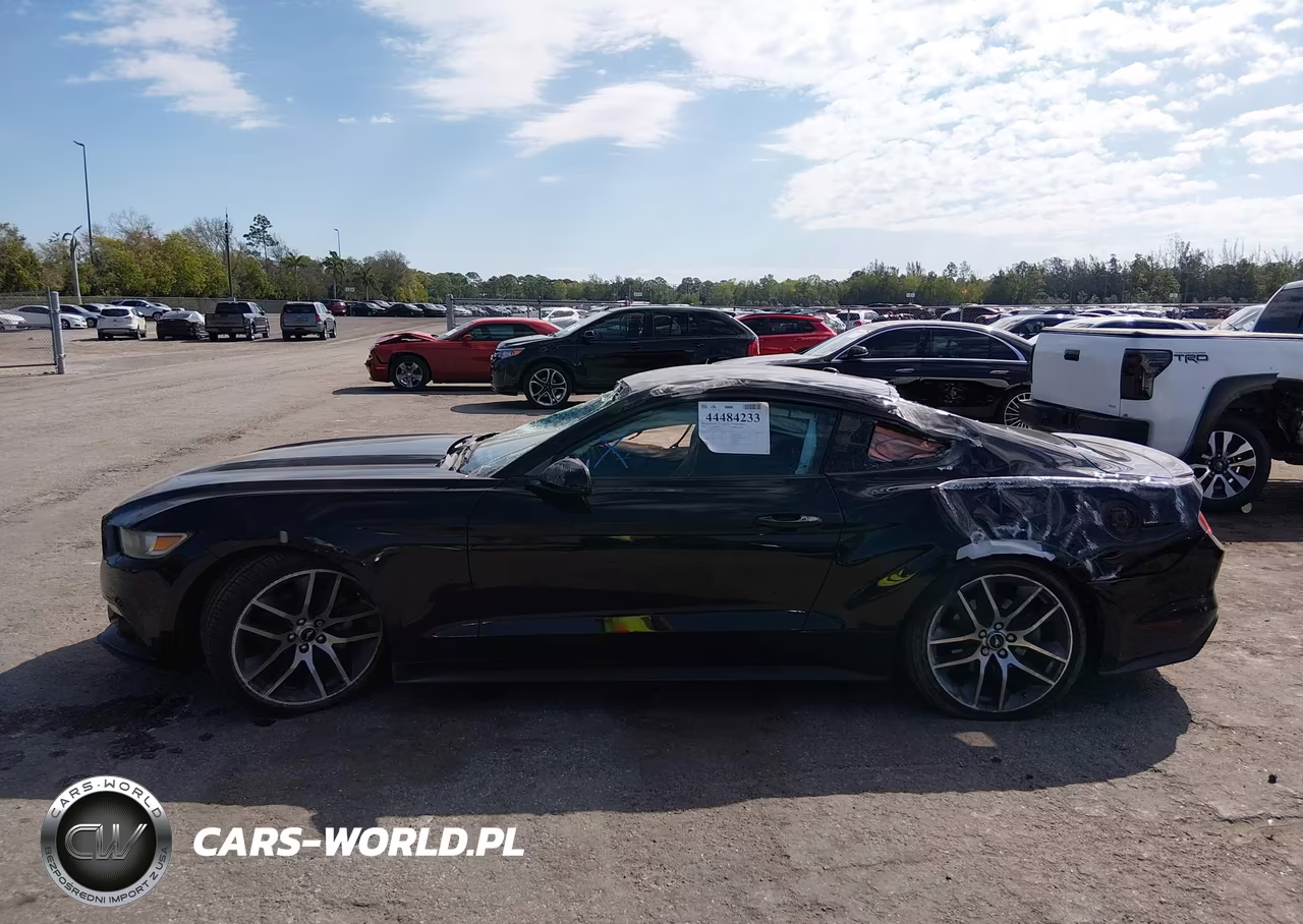 2015 Ford Mustang Ecoboost VIN:1FA6P8TH5F5341210 - 15