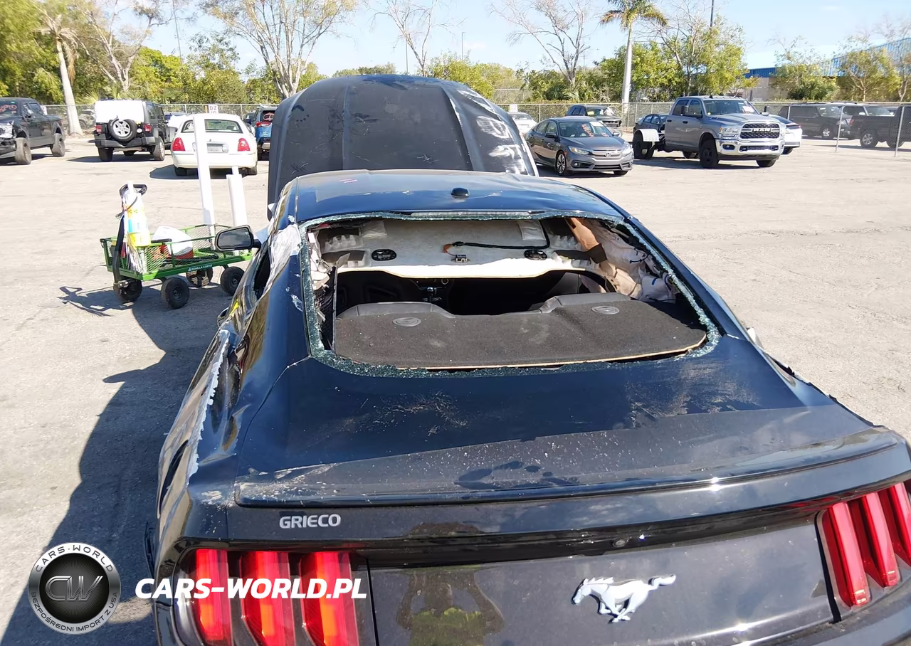 2015 Ford Mustang Ecoboost VIN:1FA6P8TH5F5341210 - 6