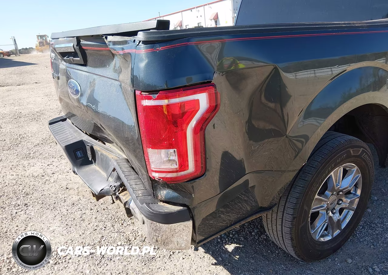 2015 Ford F-150 Xlt VIN:1FTEW1CP8FFB19567 - 12