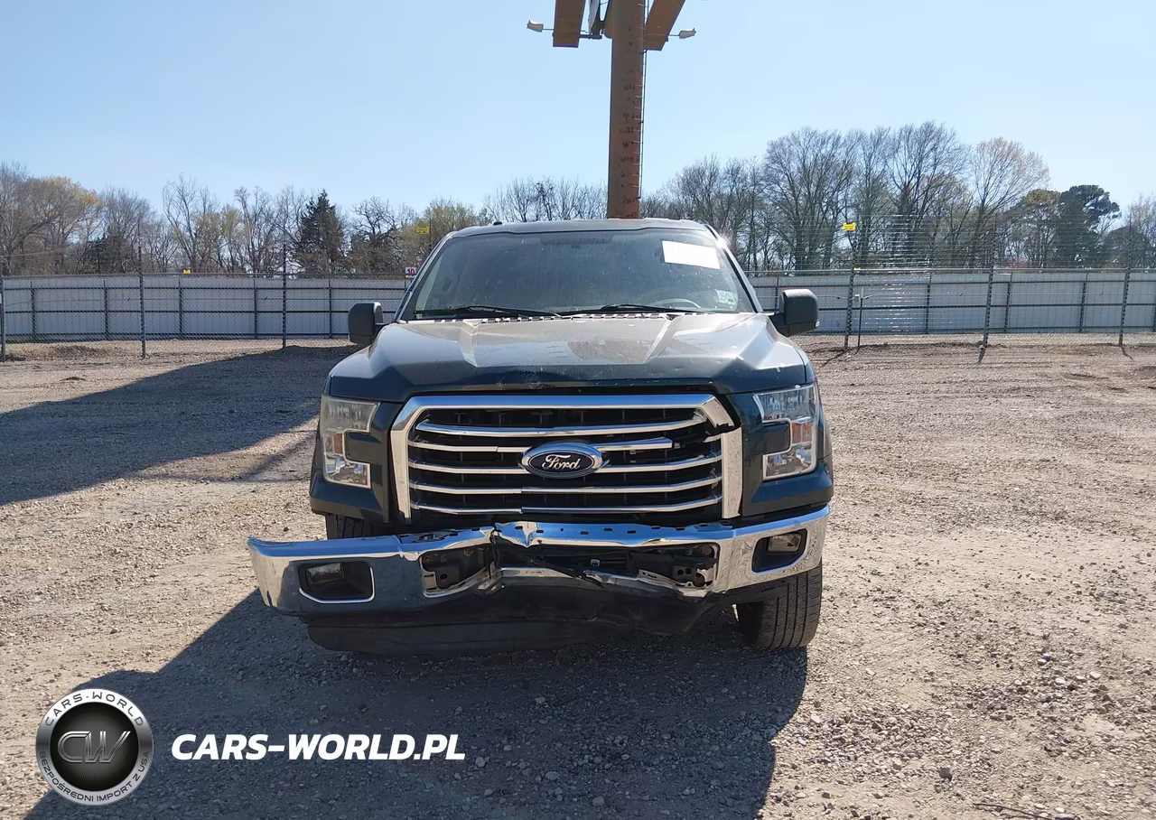2015 Ford F-150 Xlt VIN:1FTEW1CP8FFB19567 - 13