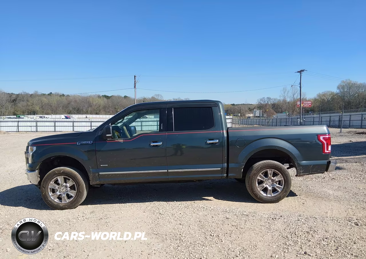 2015 Ford F-150 Xlt VIN:1FTEW1CP8FFB19567 - 15