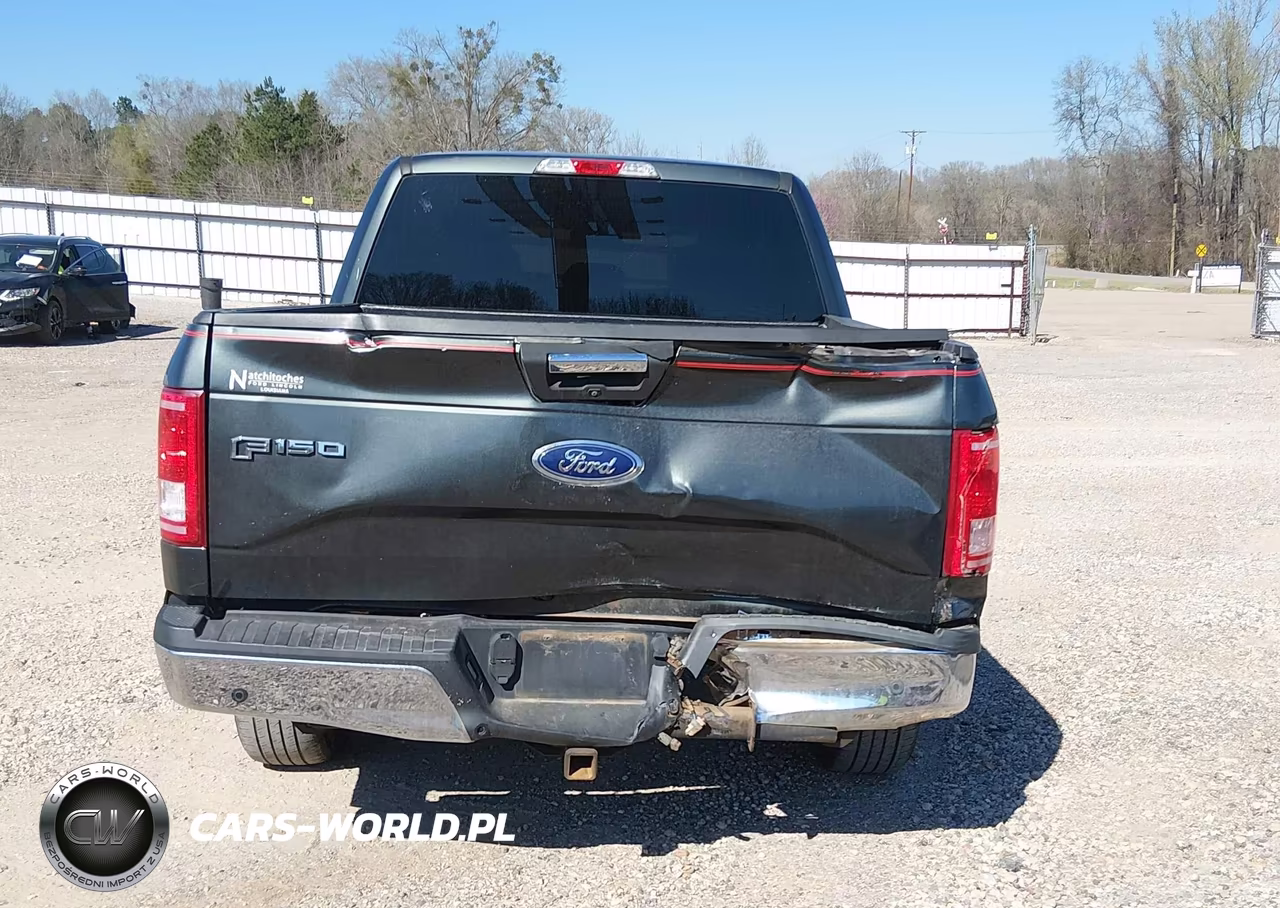2015 Ford F-150 Xlt VIN:1FTEW1CP8FFB19567 - 17