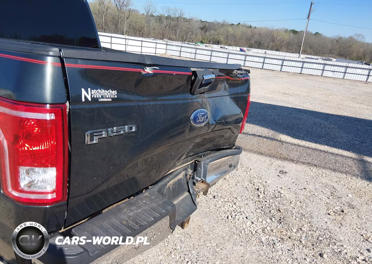 2015 Ford F-150 Xlt VIN:1FTEW1CP8FFB19567 - 18