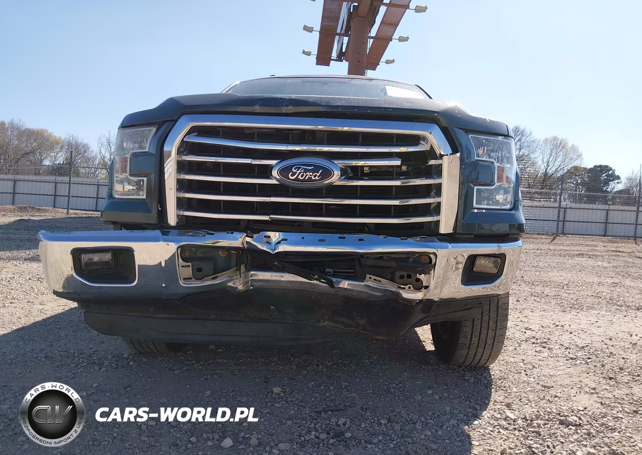 2015 Ford F-150 Xlt VIN:1FTEW1CP8FFB19567 - 19