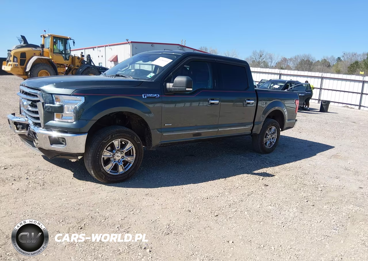 2015 Ford F-150 Xlt VIN:1FTEW1CP8FFB19567 - 2
