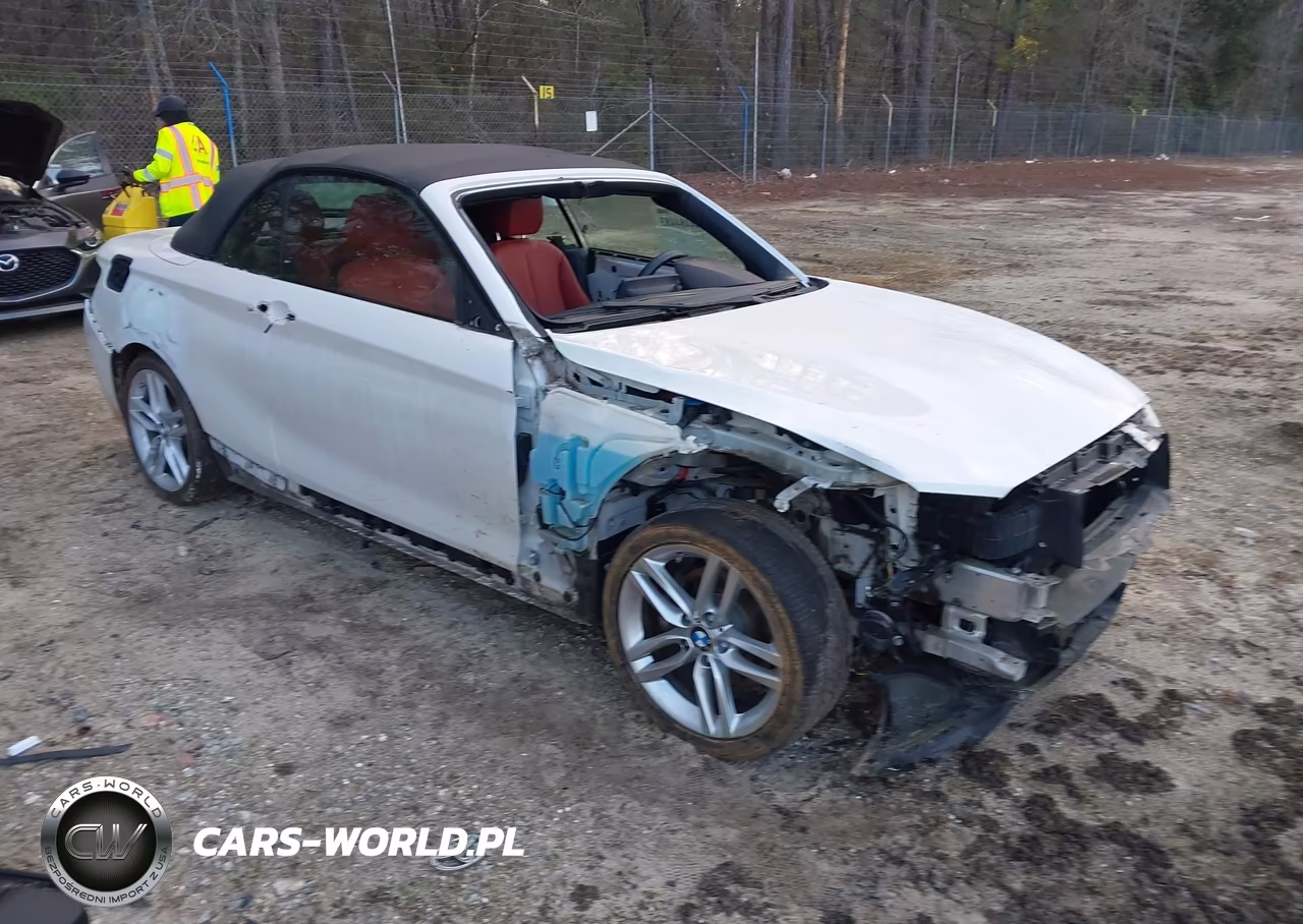 2017 BMW 230I xDrive