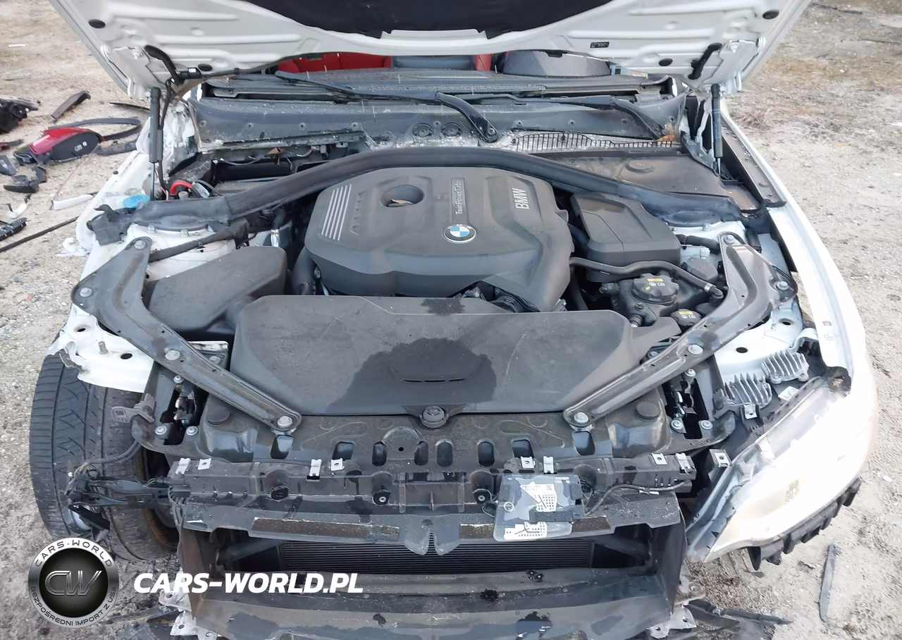 2017 BMW 230I xDrive VIN:WBA2M9C58HV717282 - 10