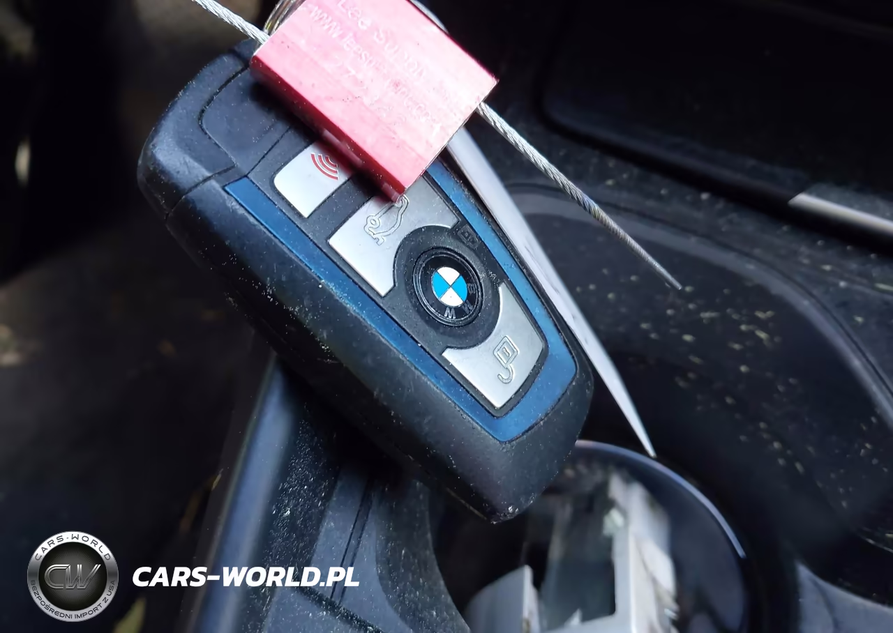 2017 BMW 230I xDrive VIN:WBA2M9C58HV717282 - 11