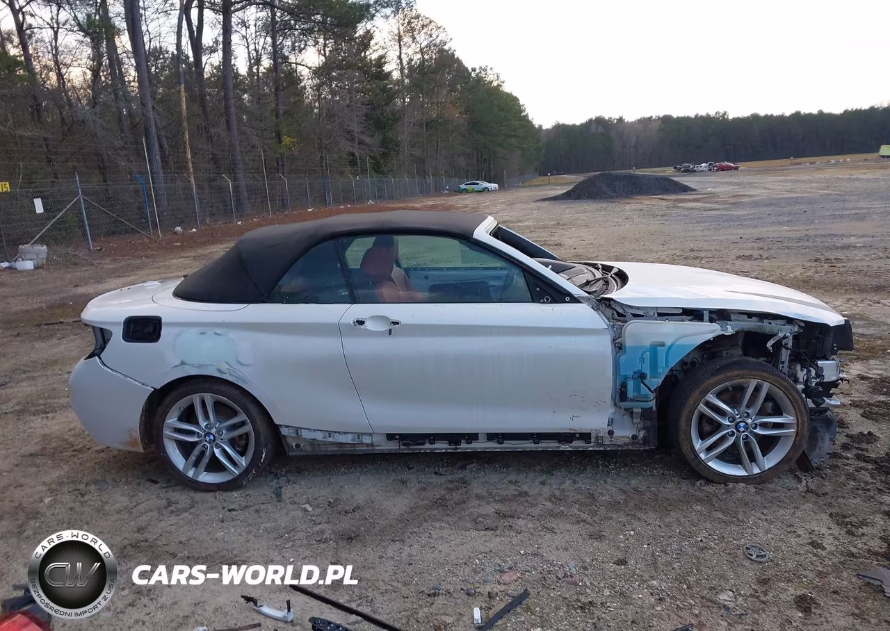 2017 BMW 230I xDrive VIN:WBA2M9C58HV717282 - 14