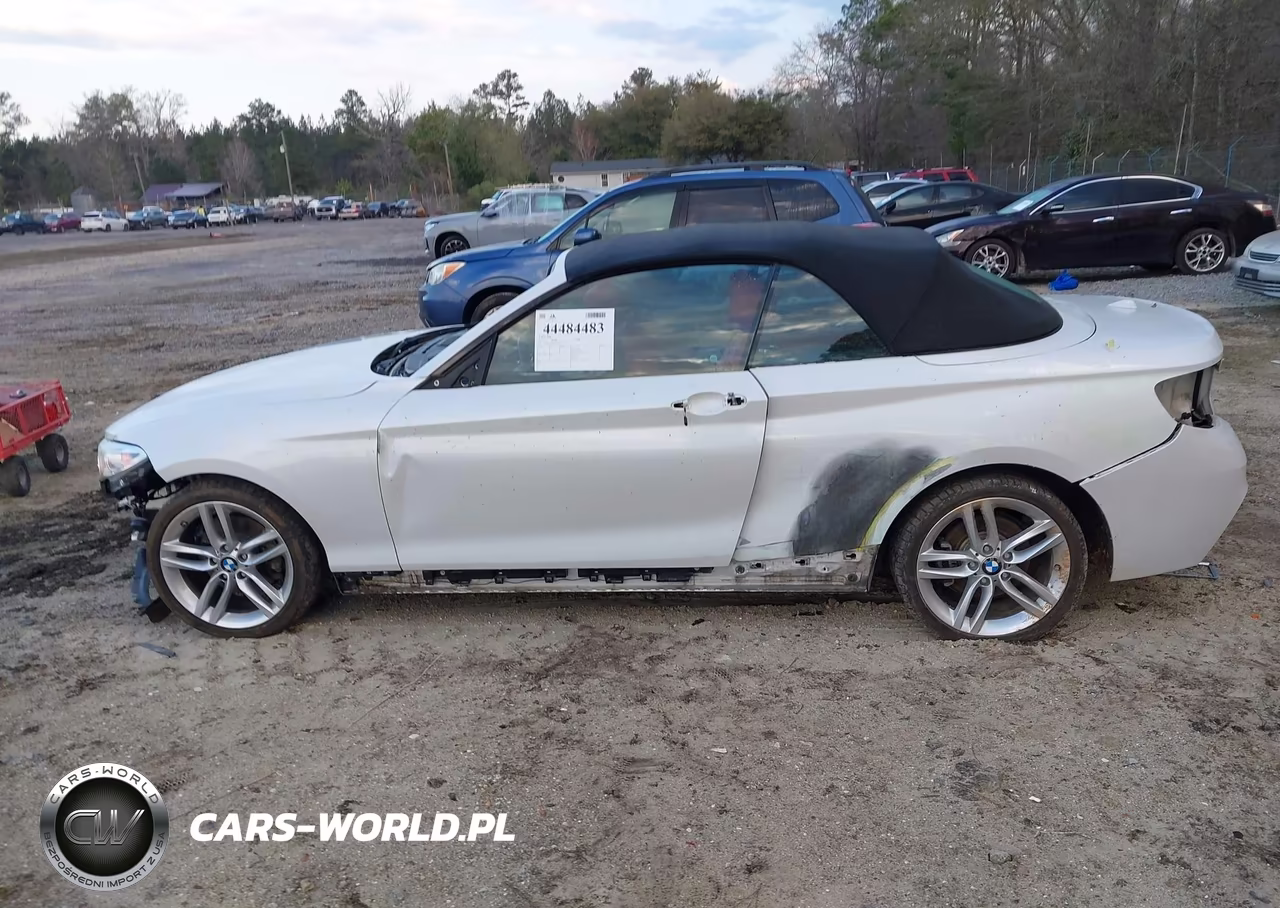 2017 BMW 230I xDrive VIN:WBA2M9C58HV717282 - 15