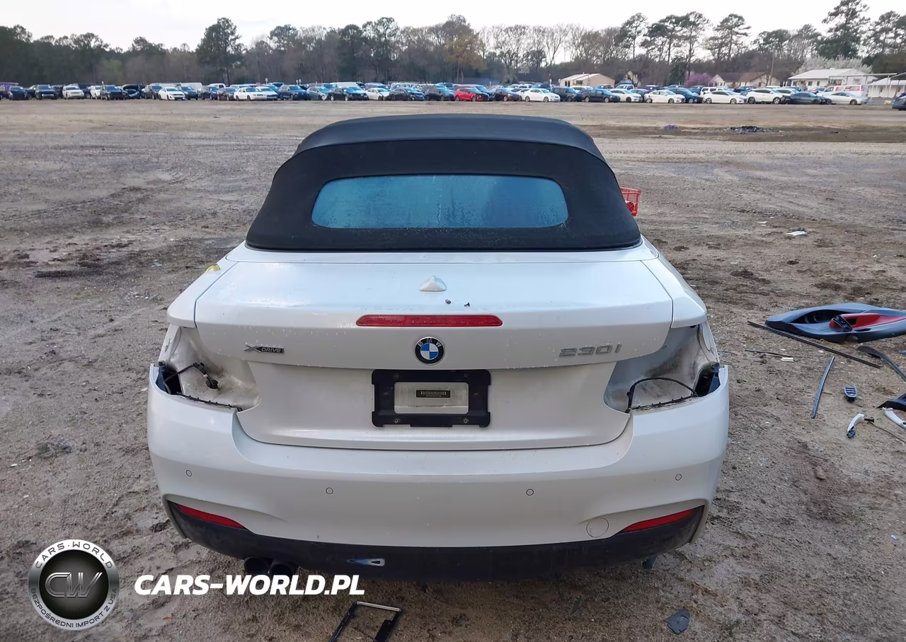 2017 BMW 230I xDrive VIN:WBA2M9C58HV717282 - 17