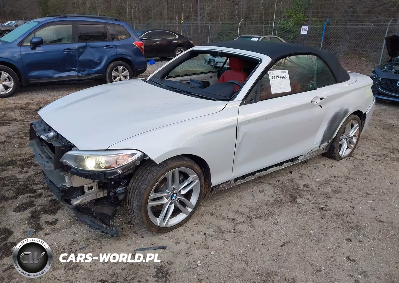2017 BMW 230I xDrive VIN:WBA2M9C58HV717282 - 2