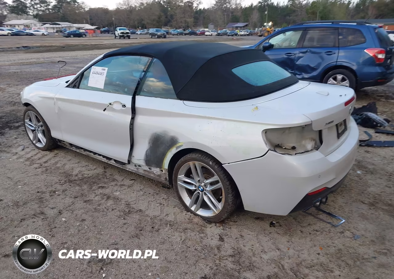 2017 BMW 230I xDrive VIN:WBA2M9C58HV717282 - 3