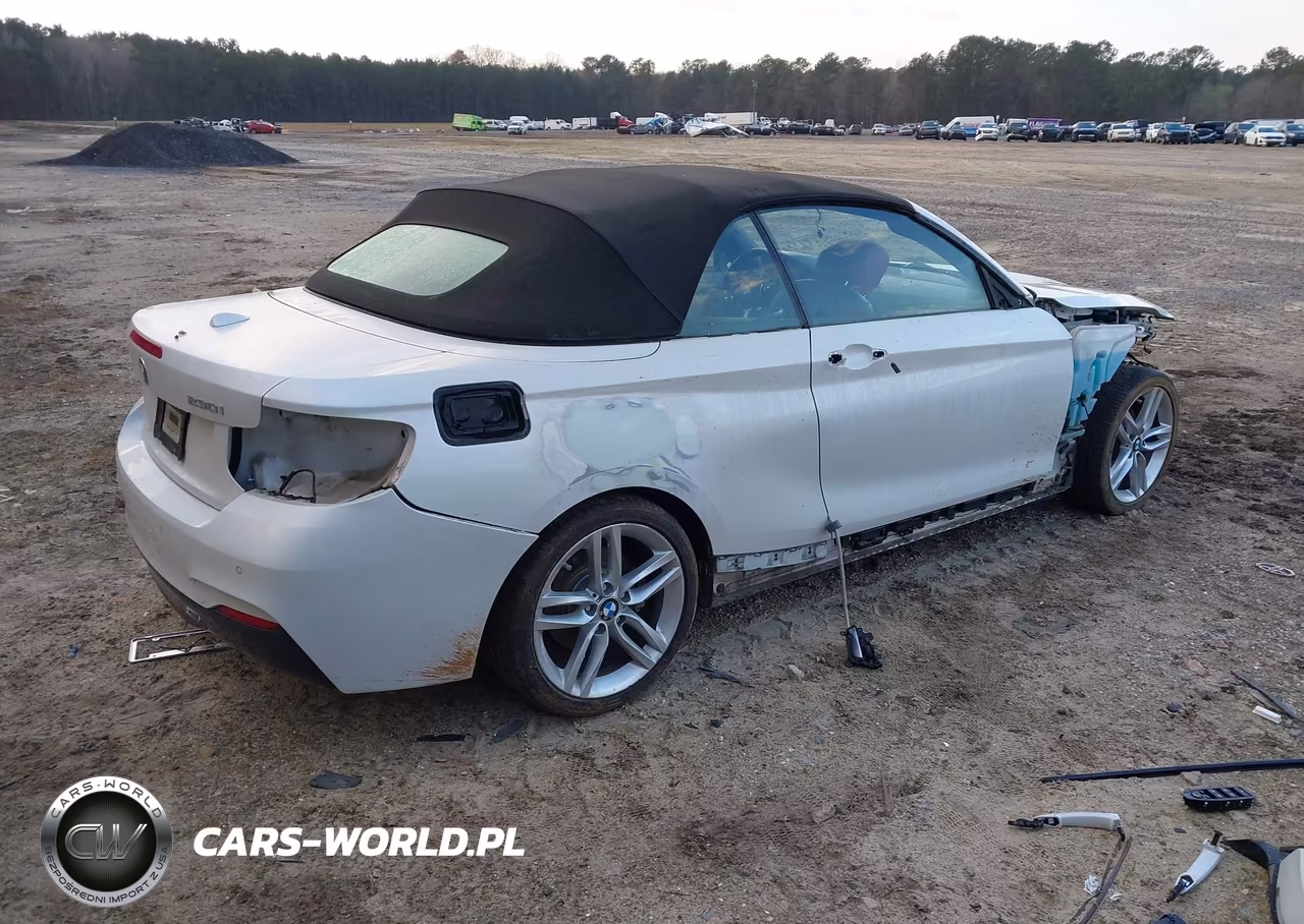 2017 BMW 230I xDrive VIN:WBA2M9C58HV717282 - 4