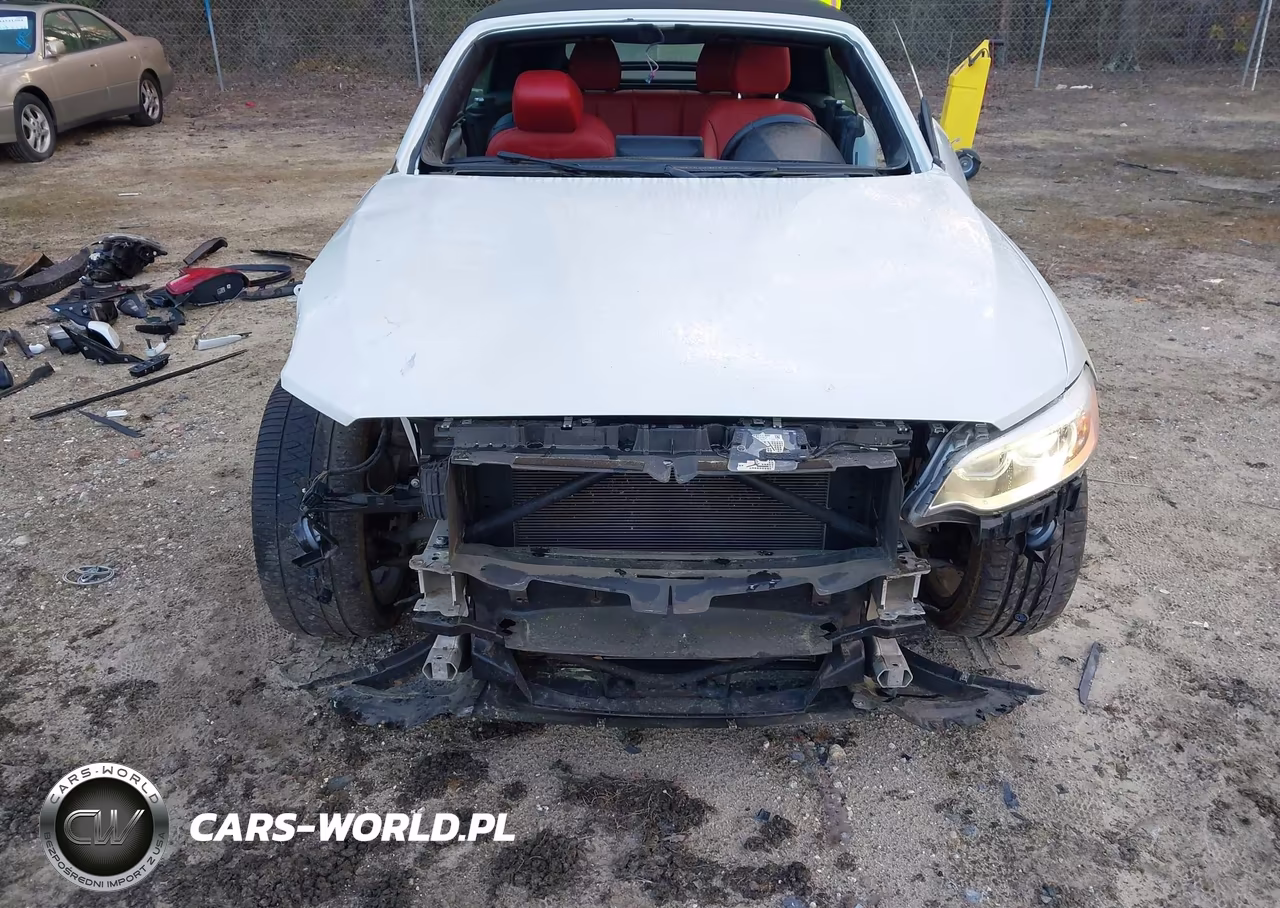 2017 BMW 230I xDrive VIN:WBA2M9C58HV717282 - 6