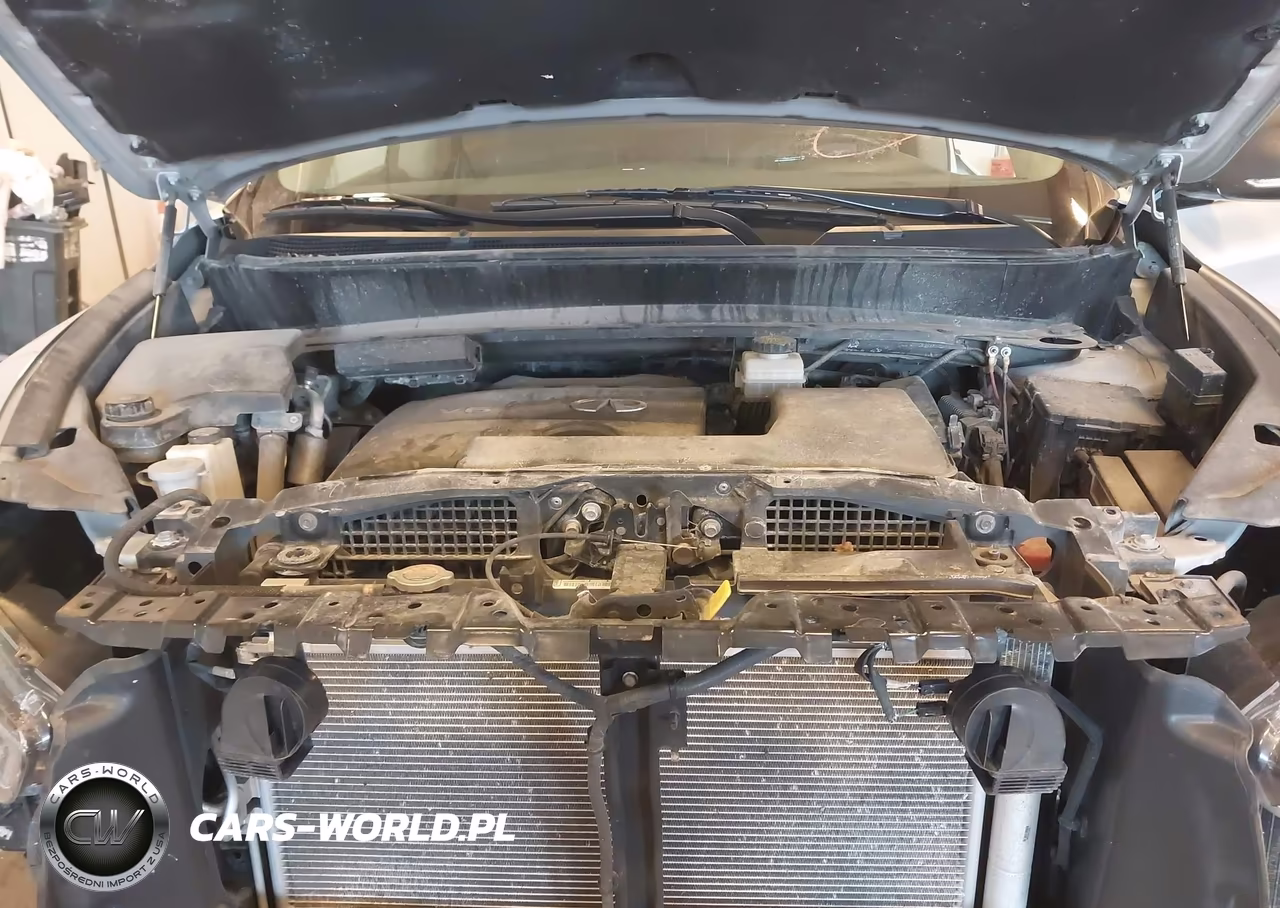 2019 Infiniti Qx60 Pure VIN:5N1DL0MM6KC556753 - 10