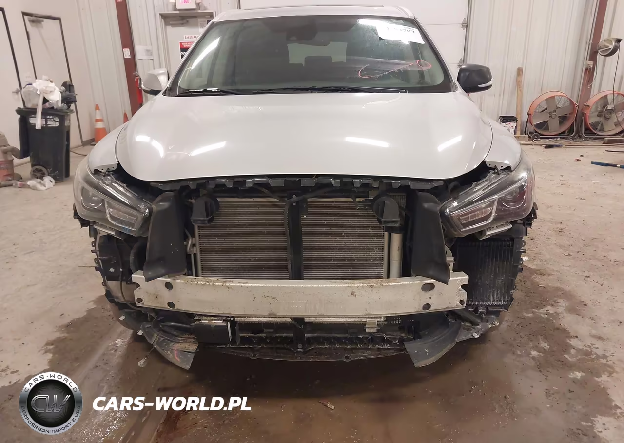 2019 Infiniti Qx60 Pure VIN:5N1DL0MM6KC556753 - 12