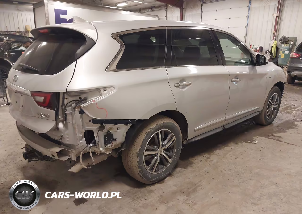 2019 Infiniti Qx60 Pure VIN:5N1DL0MM6KC556753 - 4