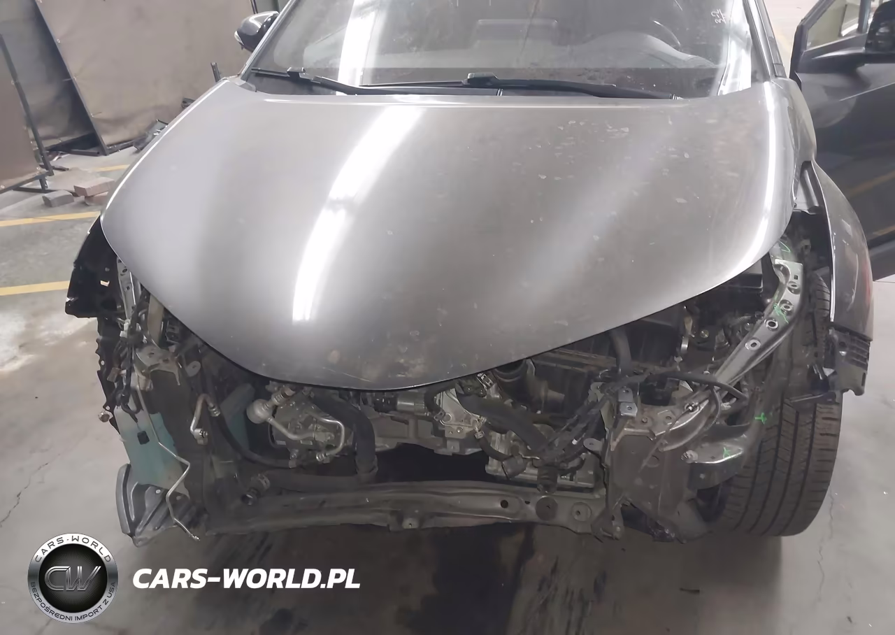 2019 Toyota C-Hr Limited VIN:JTNKHMBX0K1038758 - 6