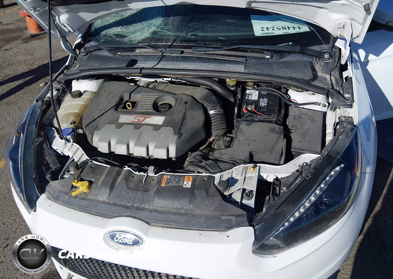 2014 Ford Focus St VIN:1FADP3L93EL381153 - 10