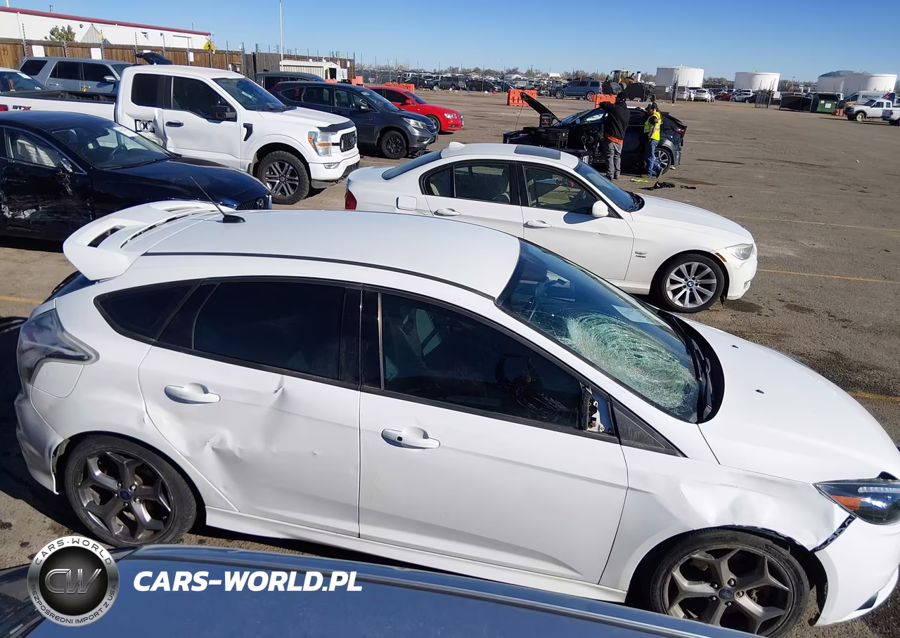 2014 Ford Focus St VIN:1FADP3L93EL381153 - 12