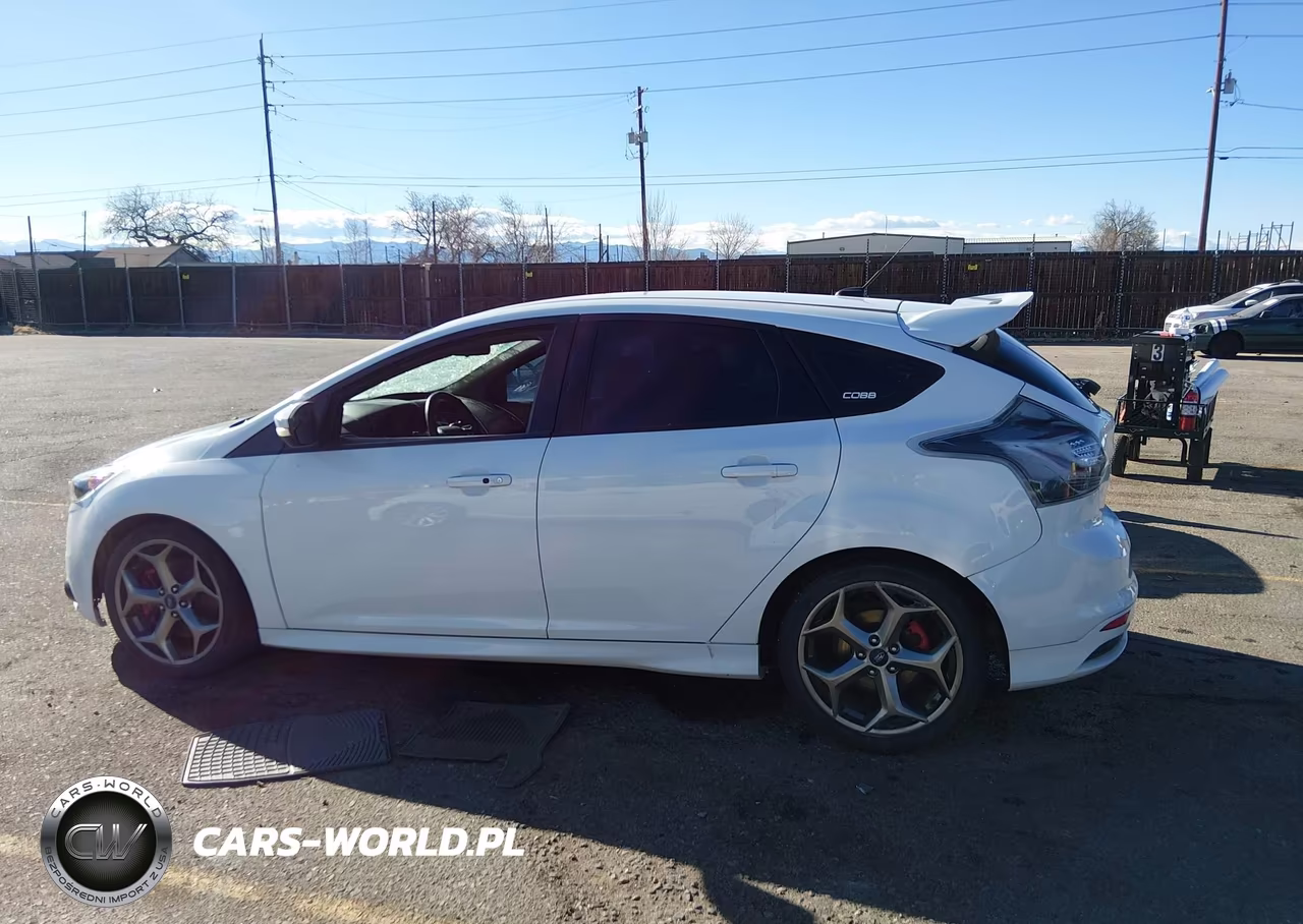 2014 Ford Focus St VIN:1FADP3L93EL381153 - 13