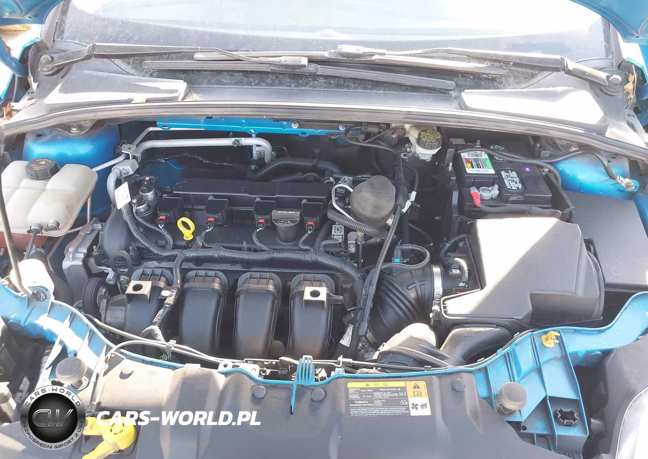 2014 Ford Focus Se VIN:1FADP3F24EL117552 - 10