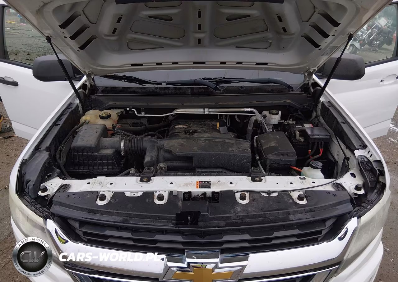 2019 Chevrolet Colorado Wt VIN:1GCHSBEA6K1217513 - 10