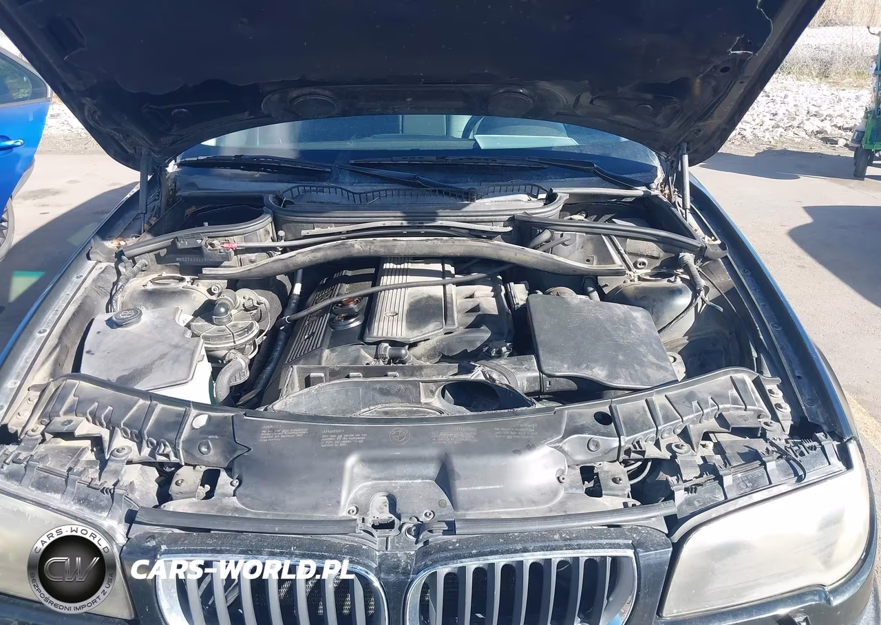 2006 BMW X3 3.0I VIN:WBXPA93406WG91069 - 10