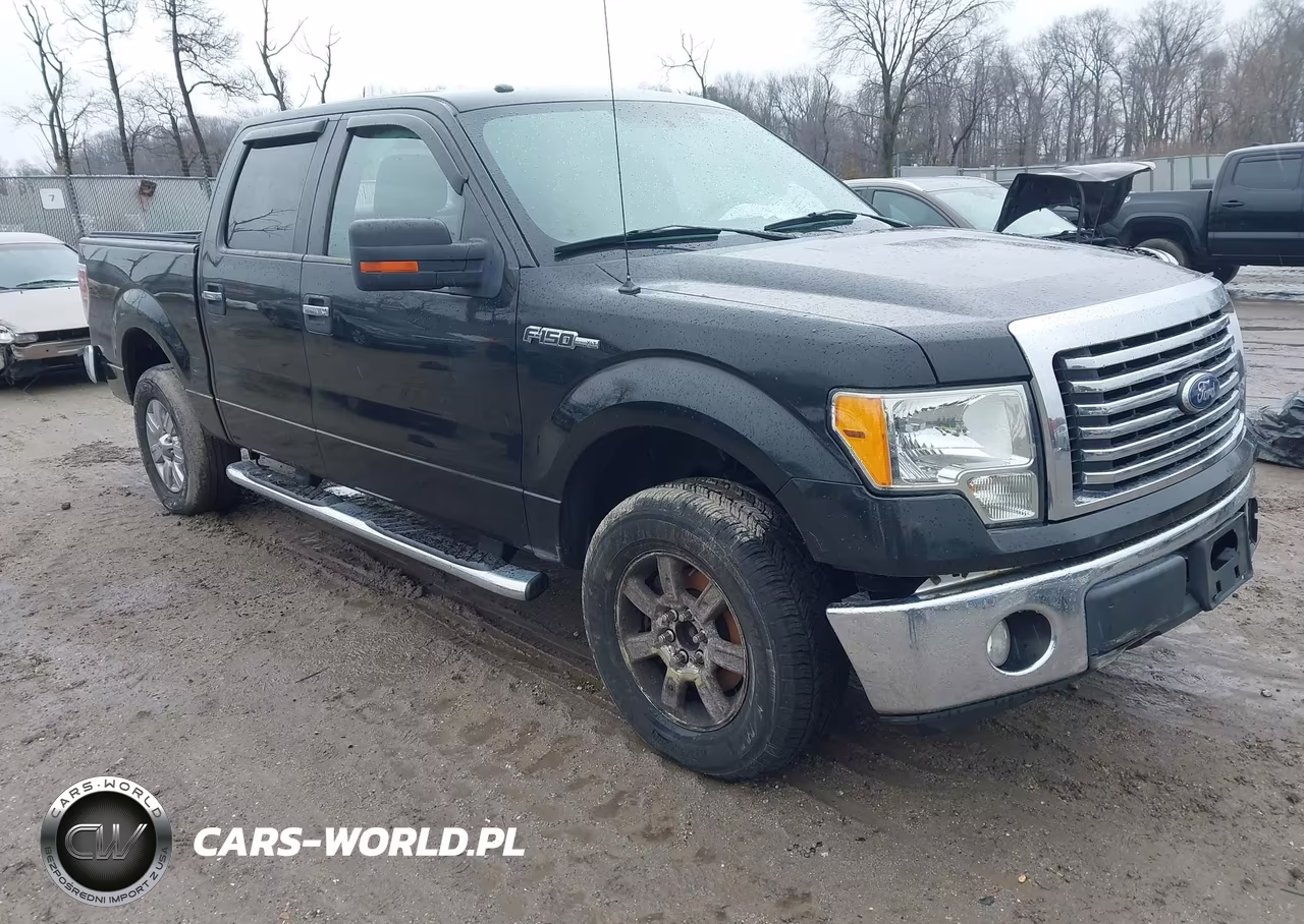 2010 Ford F-150 Fx4-Harley-Davidson-King Ranch-Lariat-Platinum-Xl-Xlt