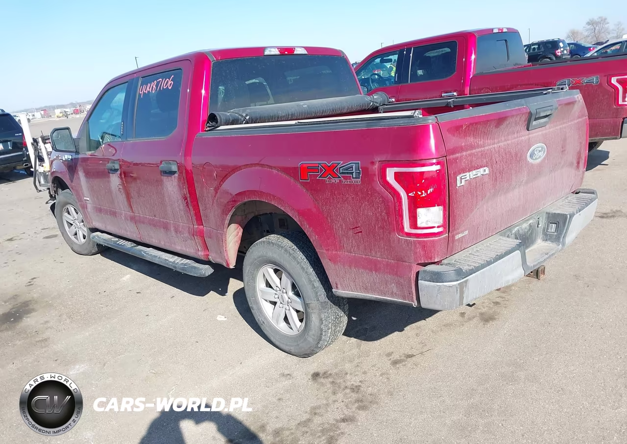 2016 Ford F-150 Xlt VIN:1FTEW1EP0GFA65440 - 3
