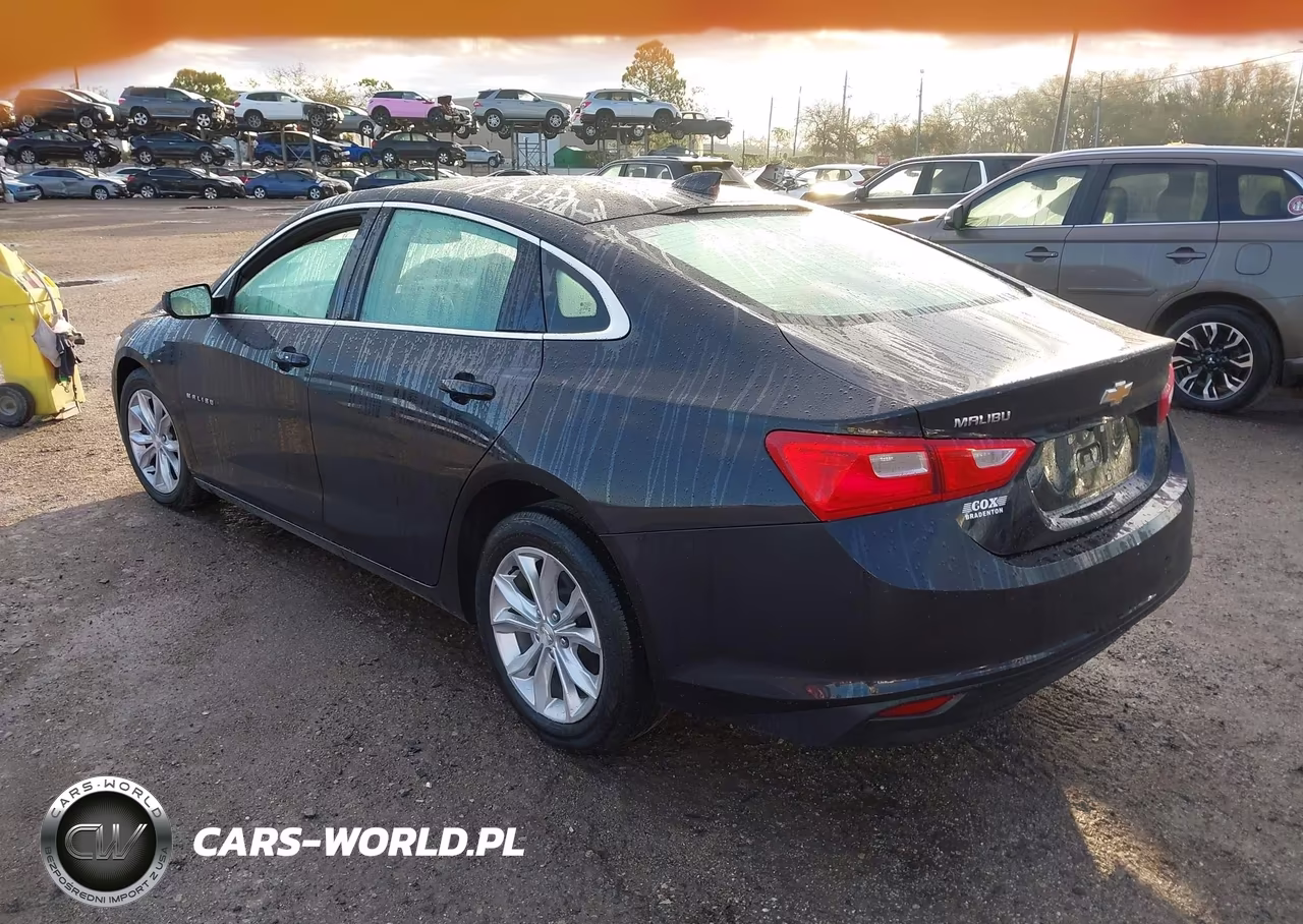 2023 Chevrolet Malibu Fwd 1Lt VIN:1G1ZD5STXPF239524 - 3
