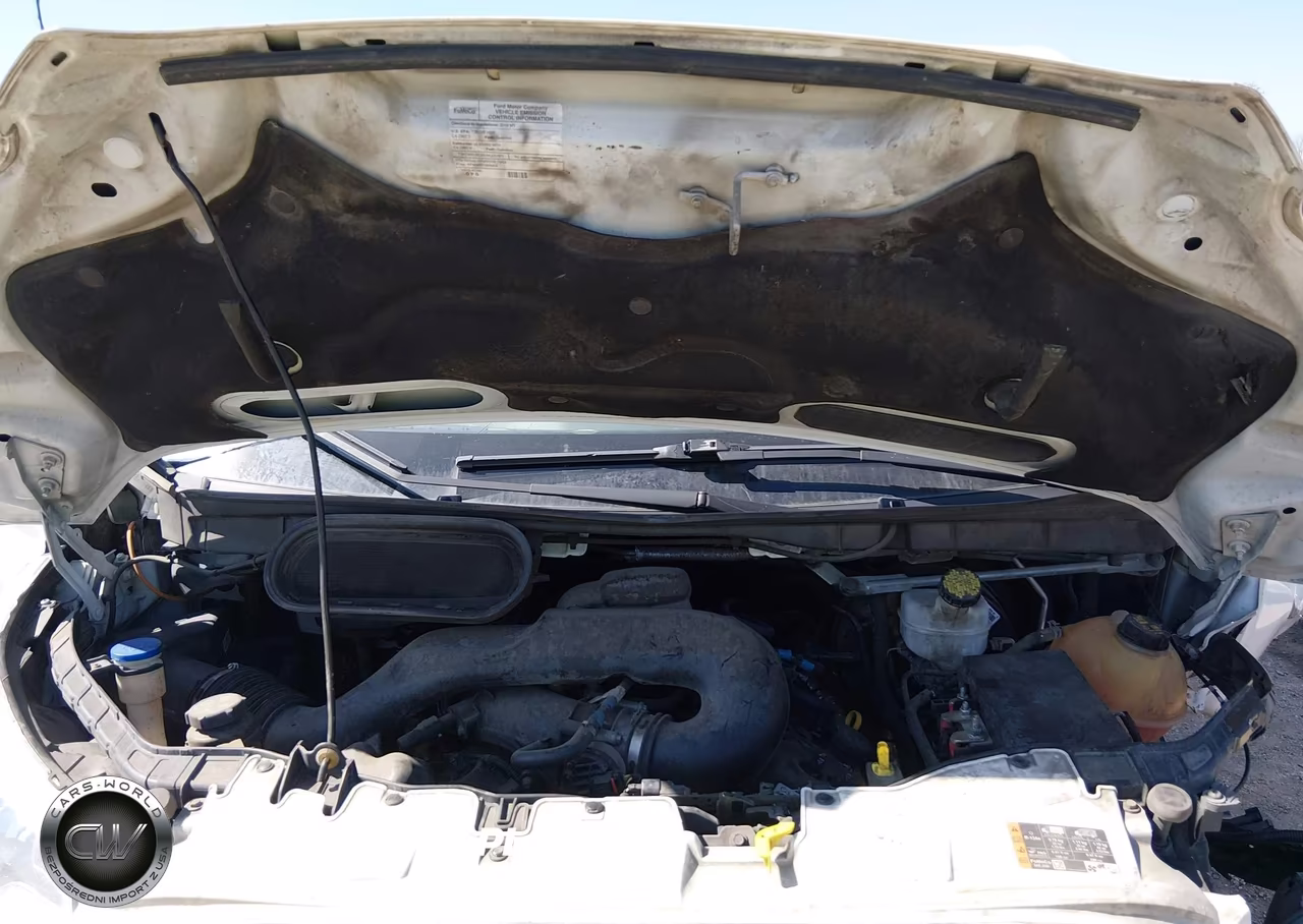 2019 Ford Transit-350 Xlt VIN:1FBZX2YM6KKA18245 - 10