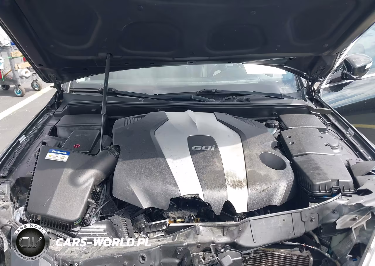 2013 Hyundai Genesis 3.8 VIN:KMHGC4DD0DU241495 - 10
