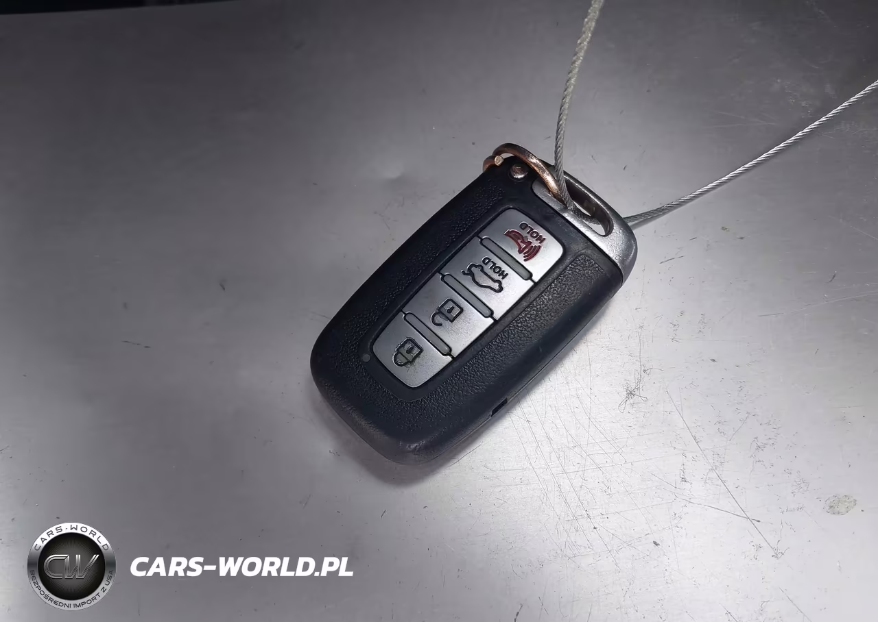 2013 Hyundai Genesis 3.8 VIN:KMHGC4DD0DU241495 - 11