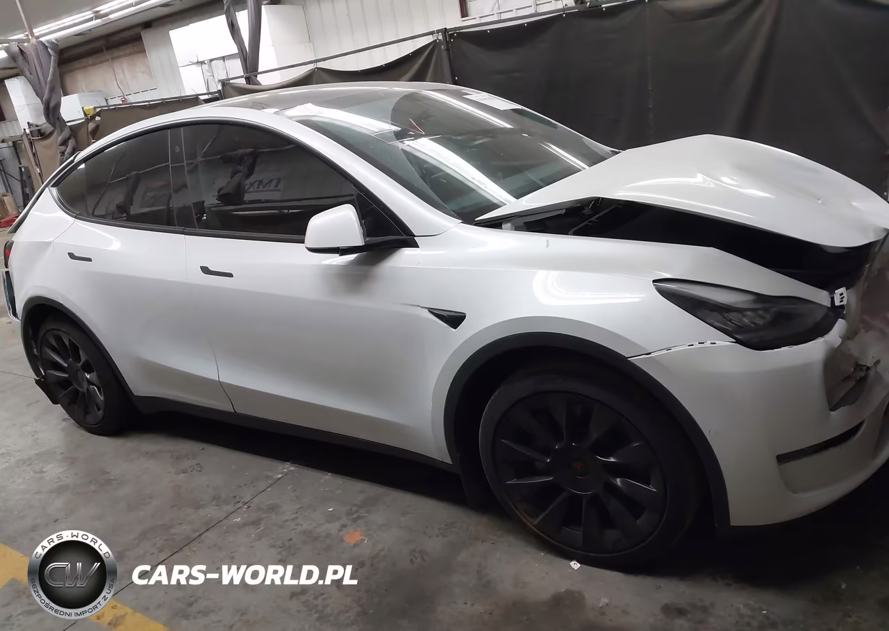 2020 Tesla Model Y Long Range Dual Motor All-Wheel Drive VIN:5YJYGDEEXLF055989 - 13
