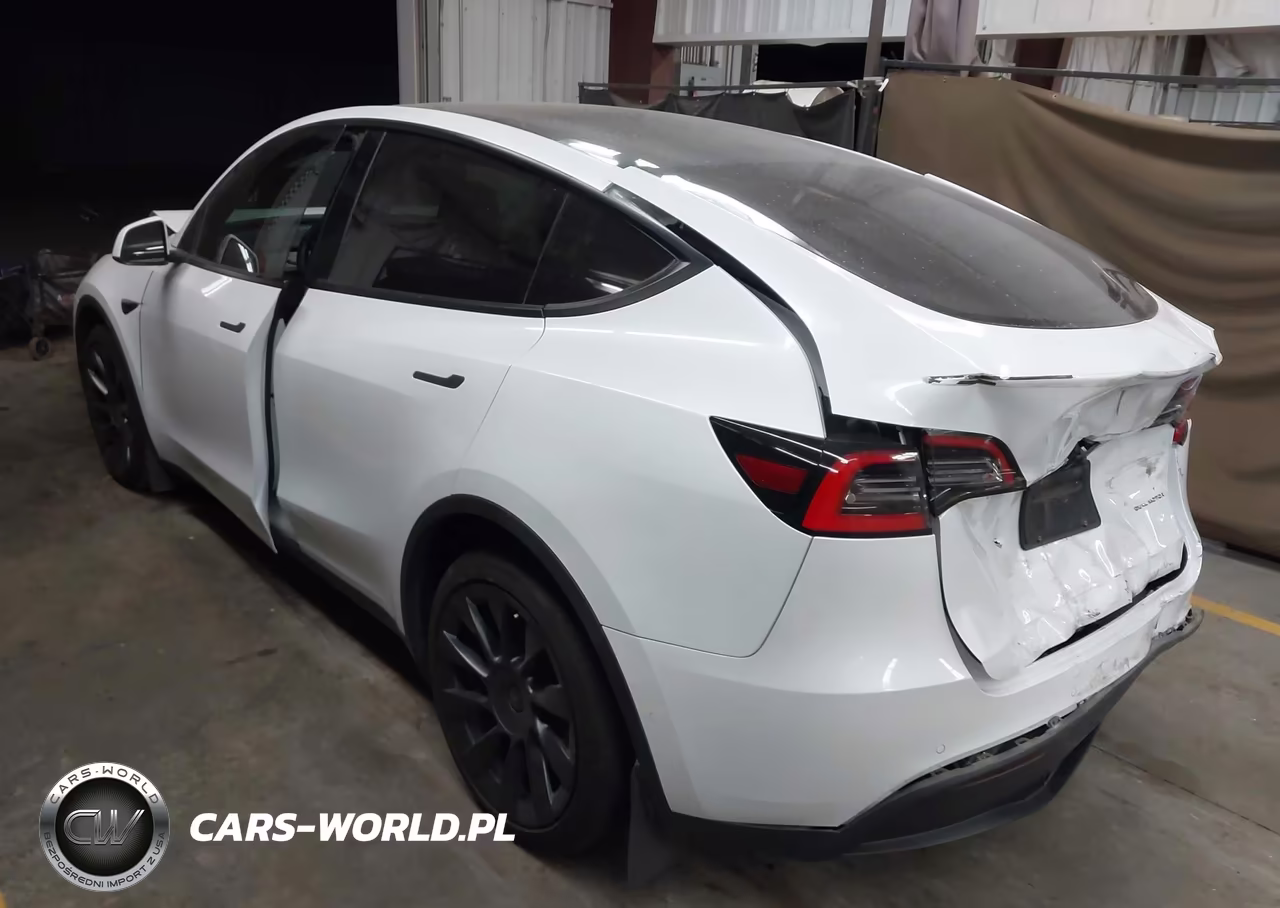 2020 Tesla Model Y Long Range Dual Motor All-Wheel Drive VIN:5YJYGDEEXLF055989 - 3