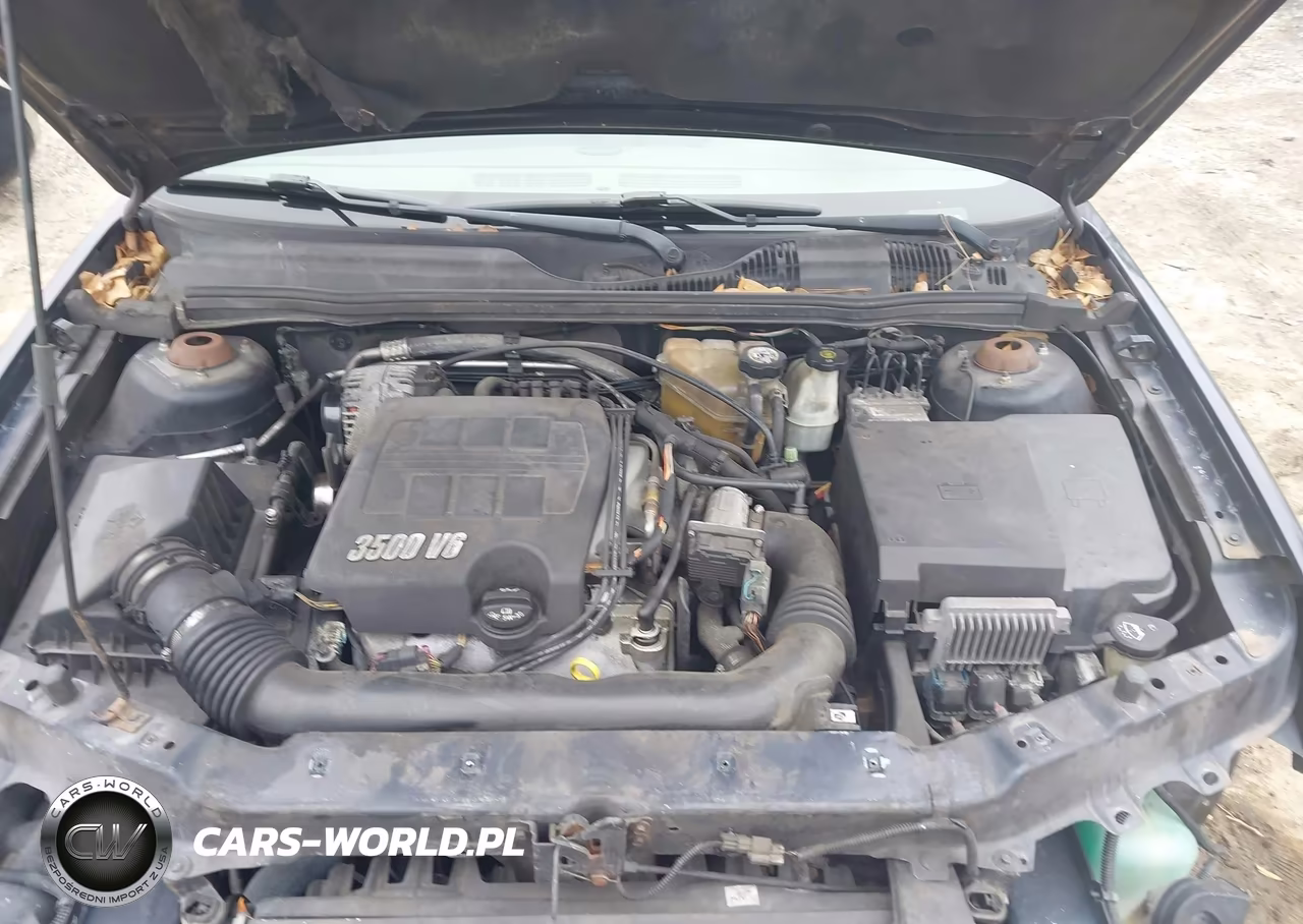 2005 Chevrolet Malibu Ls VIN:1G1ZT54845F240421 - 10